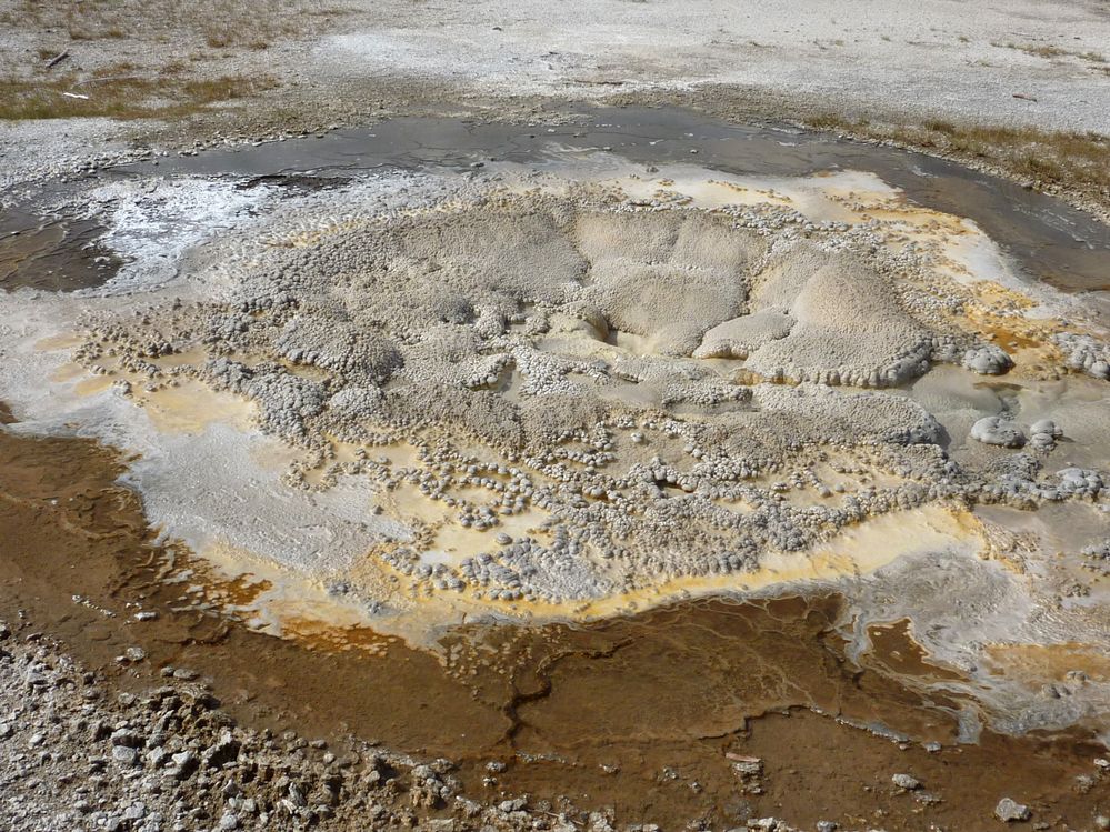 Yellowstone Old faithfull Anemon Geyser (3).JPG